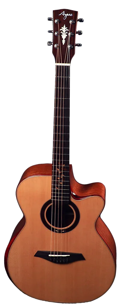 AYERS Passion ACX Acoustic Guitar