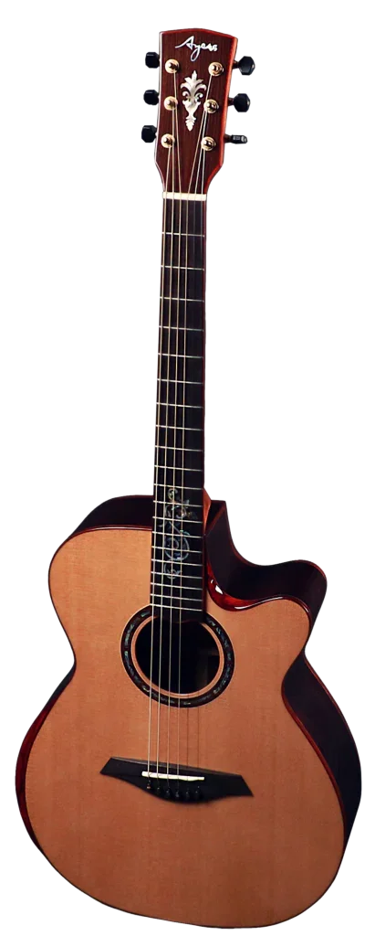 AYERS Passion Deluxe ACX