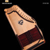 HAL LEONARD AUTOHARP METHOD BK/OLV