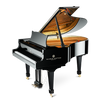 Wilhelm Grotrian WG-170 Grand Piano