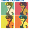 SIMPLY THE BEST OF TINA TURNER PVG