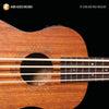 HAL LEONARD BASS UKULELE METHOD BK/OLA