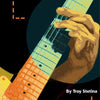 BARRE CHORDS ULTIMATE REFERENCE POCKET GUIDE