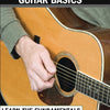 FLATPICKING GUITAR BASICS BK/CD