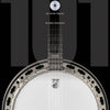 101 FIVE STRING BANJO TIPS BK/CD