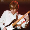 ERIC JOHNSON SIGNATURE LICKS BK/CD 2ND ED GTR