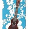 UKULELE CHORD DICTIONARY HANDY GUIDE