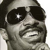 THE STEVIE WONDER COLLECTION PVG