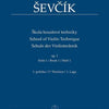 SEVCIK - SCHOOL OF VIOLIN TECHNIQUE OP 1 BK 1