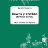 DAWNS Y CRWBAN (TORTOISE DANCE) PBUZZ ENSEMBLE/BIG BAND