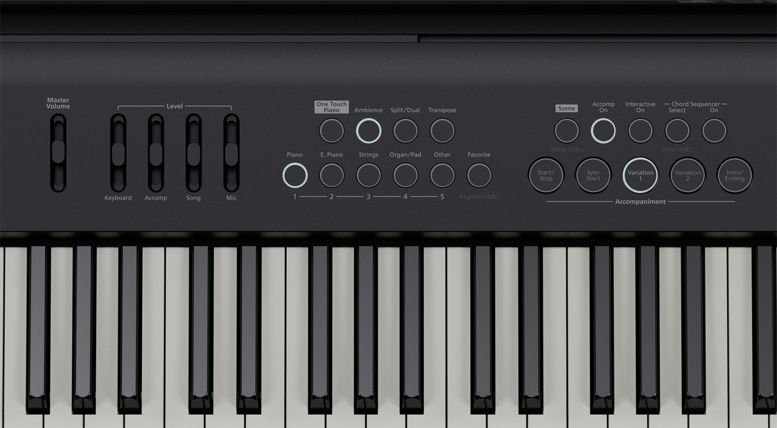 Roland FP-E50 Entertainment Piano – Black (FP-E50)