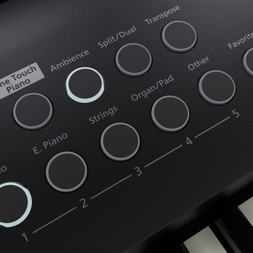 Roland FP-E50 Entertainment Piano – Black (FP-E50)