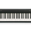 Roland FP10BKS Digital Piano With KSC-FP10 Stand Bundle