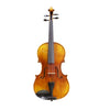 WST WJG 4/4 Violin