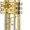 Jupiter JTR500 Trumpet (New#408L)
