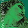 Evah Pirazzi Green E-Ball Mittel Envelope Set 4/4