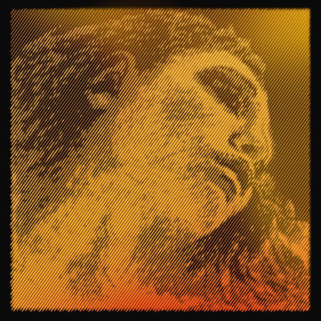 Evah Pirazzi G-Gold Ball-E Mittel Envelope Set 4/4