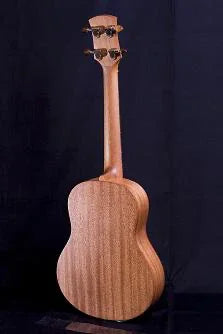 AYERS Uluru I ( Soprano ) Ukulele